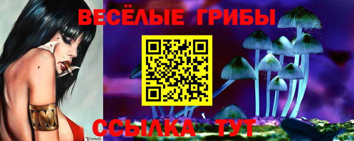 Псилоцибиновые грибы Psilocybe  Вход с VPN  Донецк 